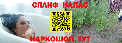 гидропоника Апрелевка