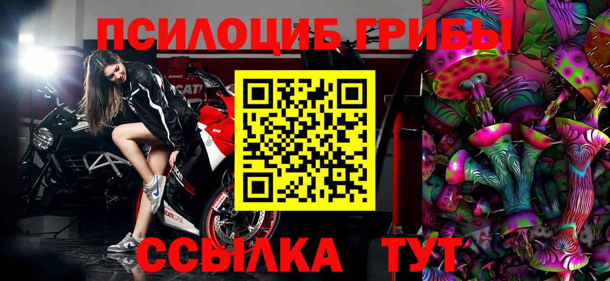 Галлюциногенные грибы мицелий  Псилоцибиновые грибы GOLDEN TEACHER  Балабаново  Вход с VPN 